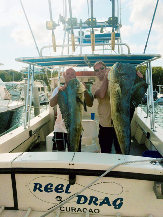 Fish species Curacao Archives Fish Charter Curacao